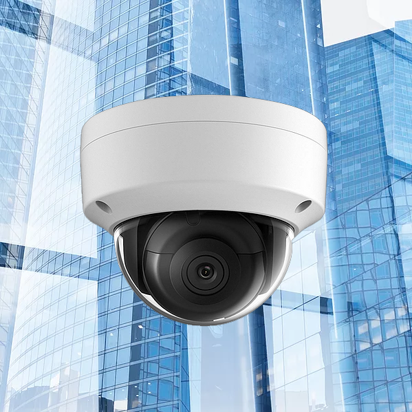 365 surveillance camback